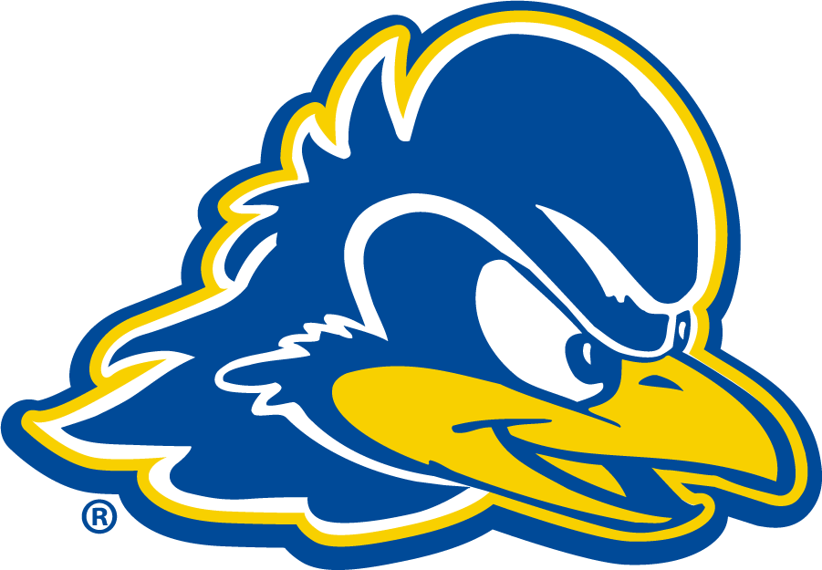 Delaware Blue Hens 2018-Pres Primary Logo diy iron on heat transfer
